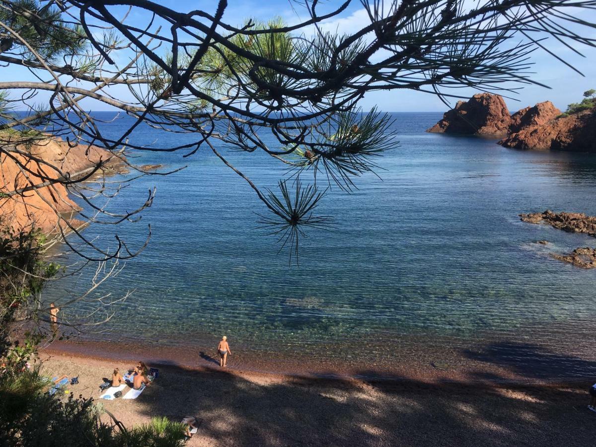 "Les Alizes" Cote Jardin Proche Bord De Mer Saint-Raphael  Bagian luar foto