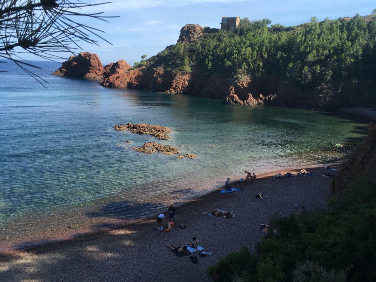"Les Alizes" Cote Jardin Proche Bord De Mer Saint-Raphael  Bagian luar foto
